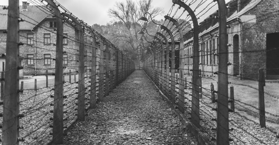 Zäune in Auschwitz