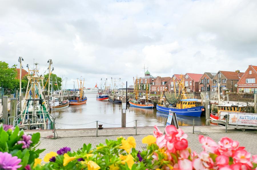 Seminarbild_2024_Norddeich