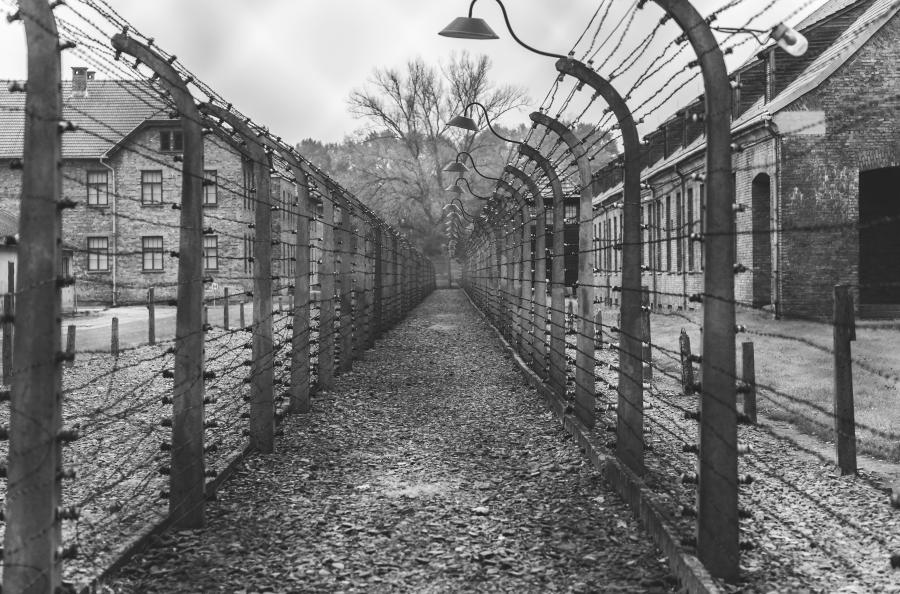 Zäune in Auschwitz