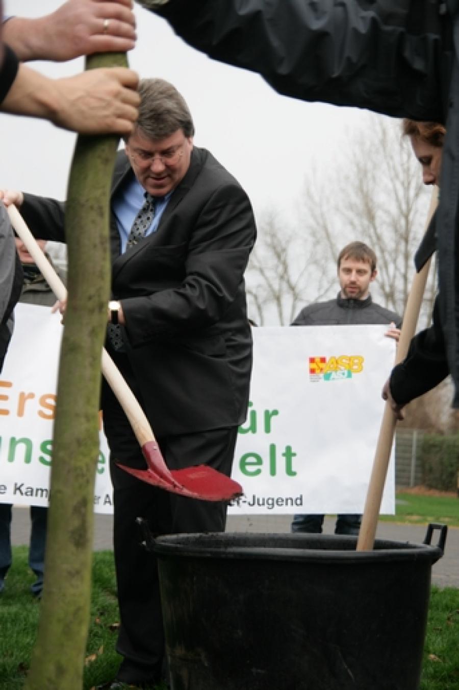 Bürgermeister Kreuzberg hilft beim Baumpflanzen
