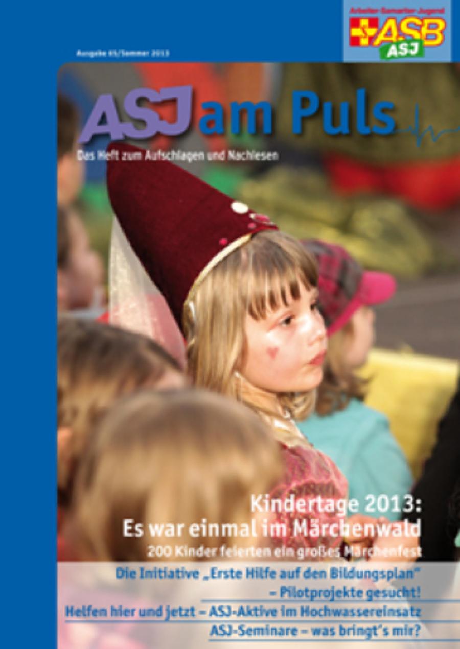 Titelbild der Ausgabe 2-2013